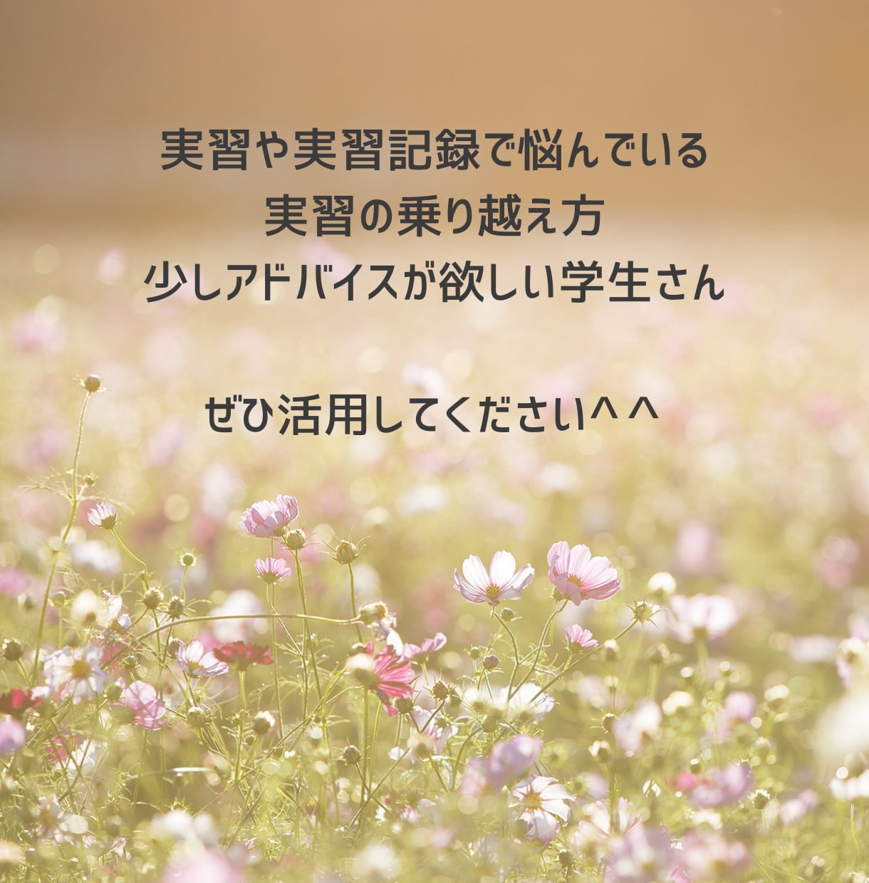 看護学生さんのお話聞きます 実習のことから日常生活のことまで^^相談乗ります。 イメージ2