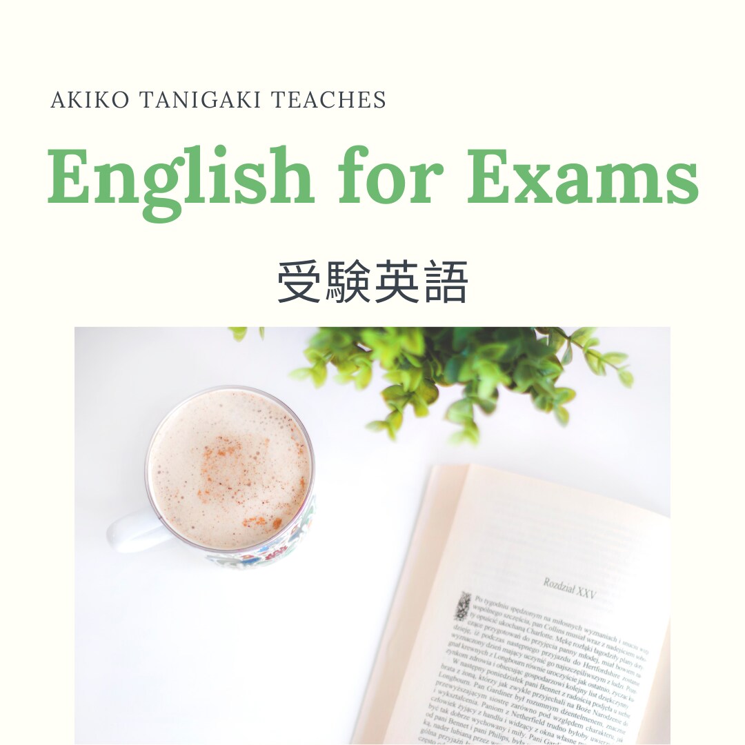 受験英語を分かりやすく解説します 長文読解はもちろん、英作文もスピーキングもお任せください。 イメージ1