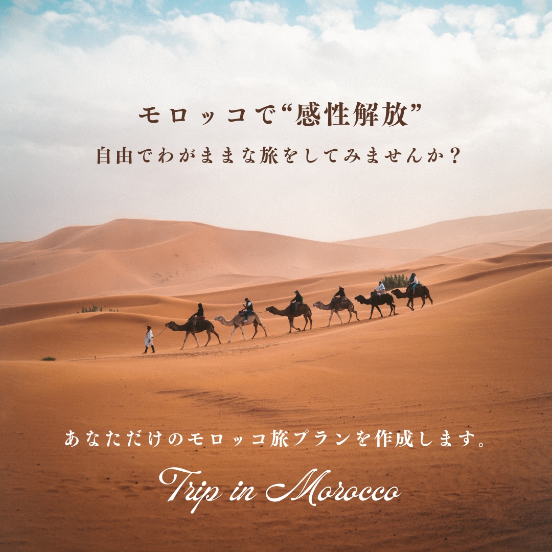 感性解放/／･:･:°モロッコ旅プランを作成します ツアーでは体験できない細かなご要望にも対応いたします！ イメージ1