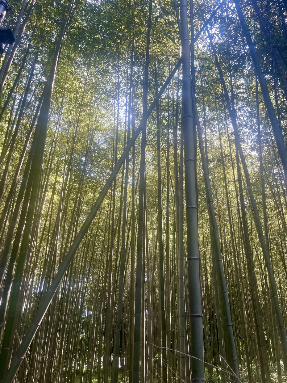 あなたの気持ちをただ受け止めます どんな話でも大丈夫。あなたのペースで安心してお話ください。 イメージ1