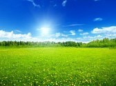 興味を引くブログタイトル考えます ブログのタイトルに悩んでる方、悩み解消します。 イメージ7