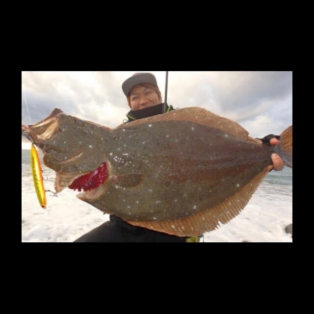 メーカーの現役テスターが釣りのお悩み解決致します メインは人気魚種シーバス、ヒラメの釣り方になります イメージ1