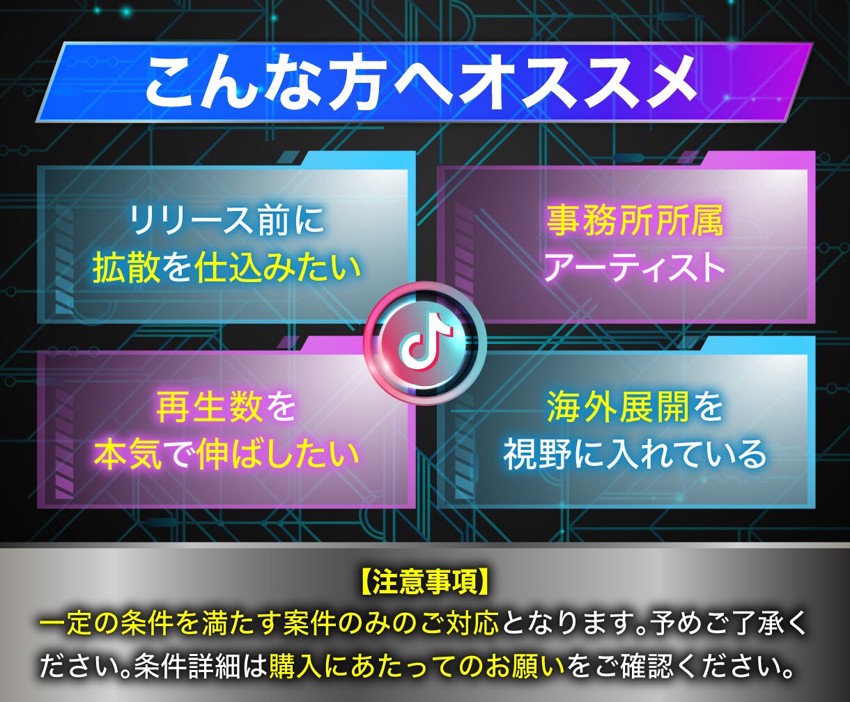 TikTokインフルエンサーで楽曲をPRいたします 楽曲に合う拡散設計でバズ導線を構築します!! イメージ4