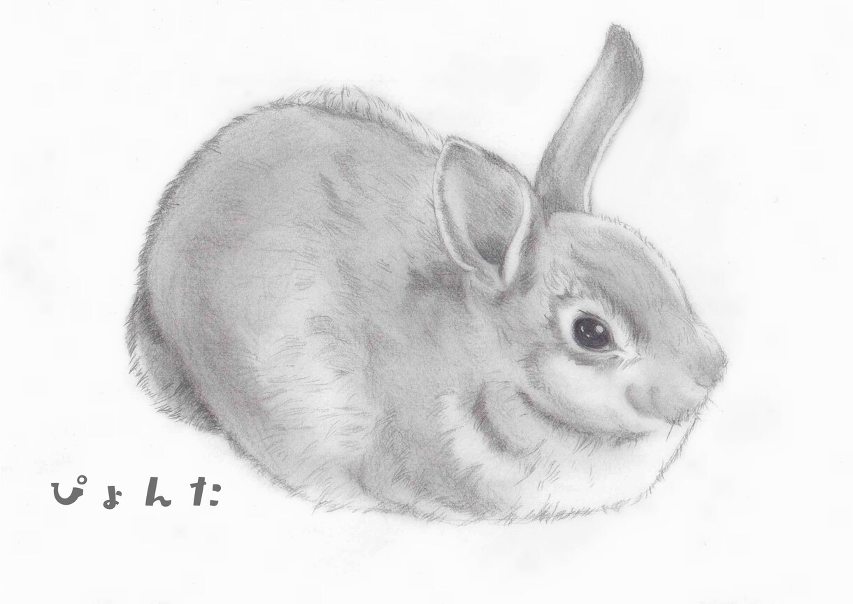 お写真をもとに鉛筆画をお描きします 大事なペットの愛すべきお顔を温かみある絵に イメージ10