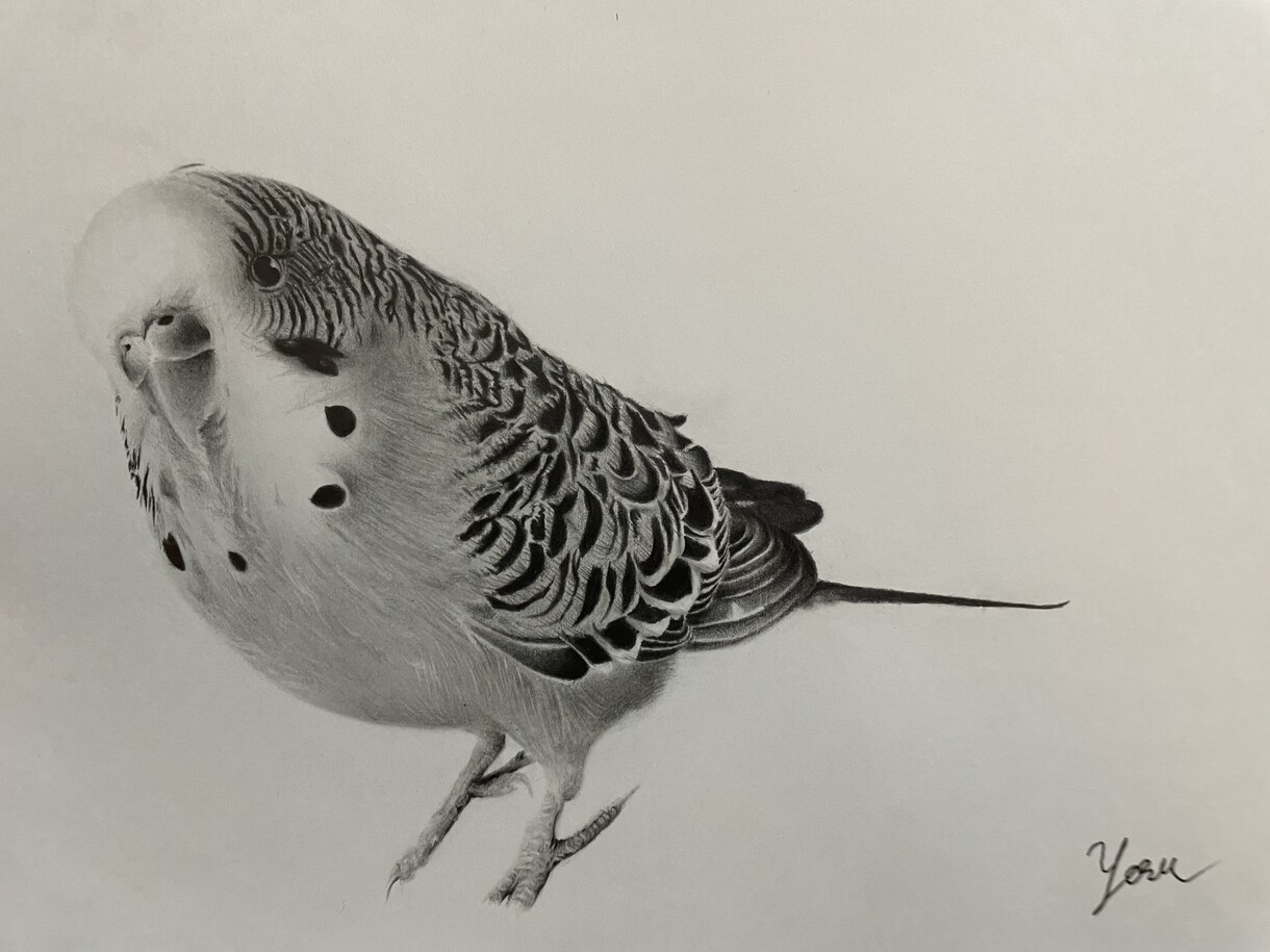 大切なあなたのペットをリアルに描きます 良ければあなたのペット描かせてください！ イメージ3