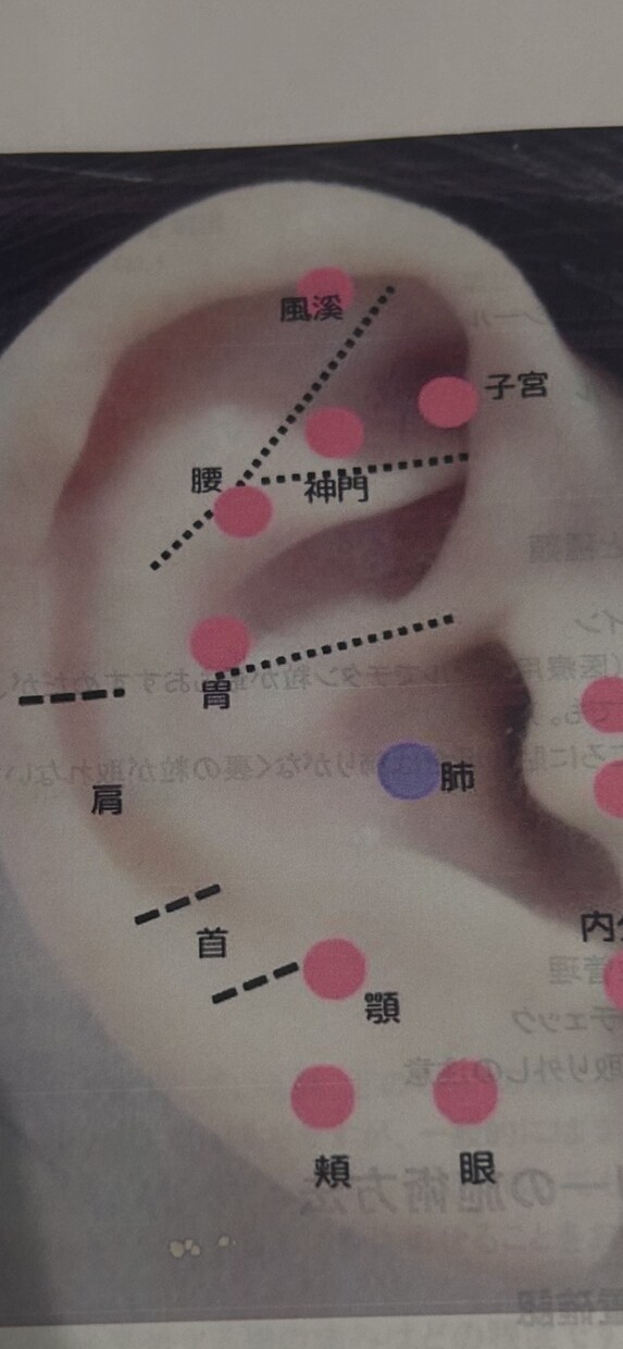 耳ツボ資格者が導く！眼精疲労に効く耳ツボ処方箋ます 1日10時間モニターを見るあなたへ。最適な3つの耳ツボ♪ イメージ1