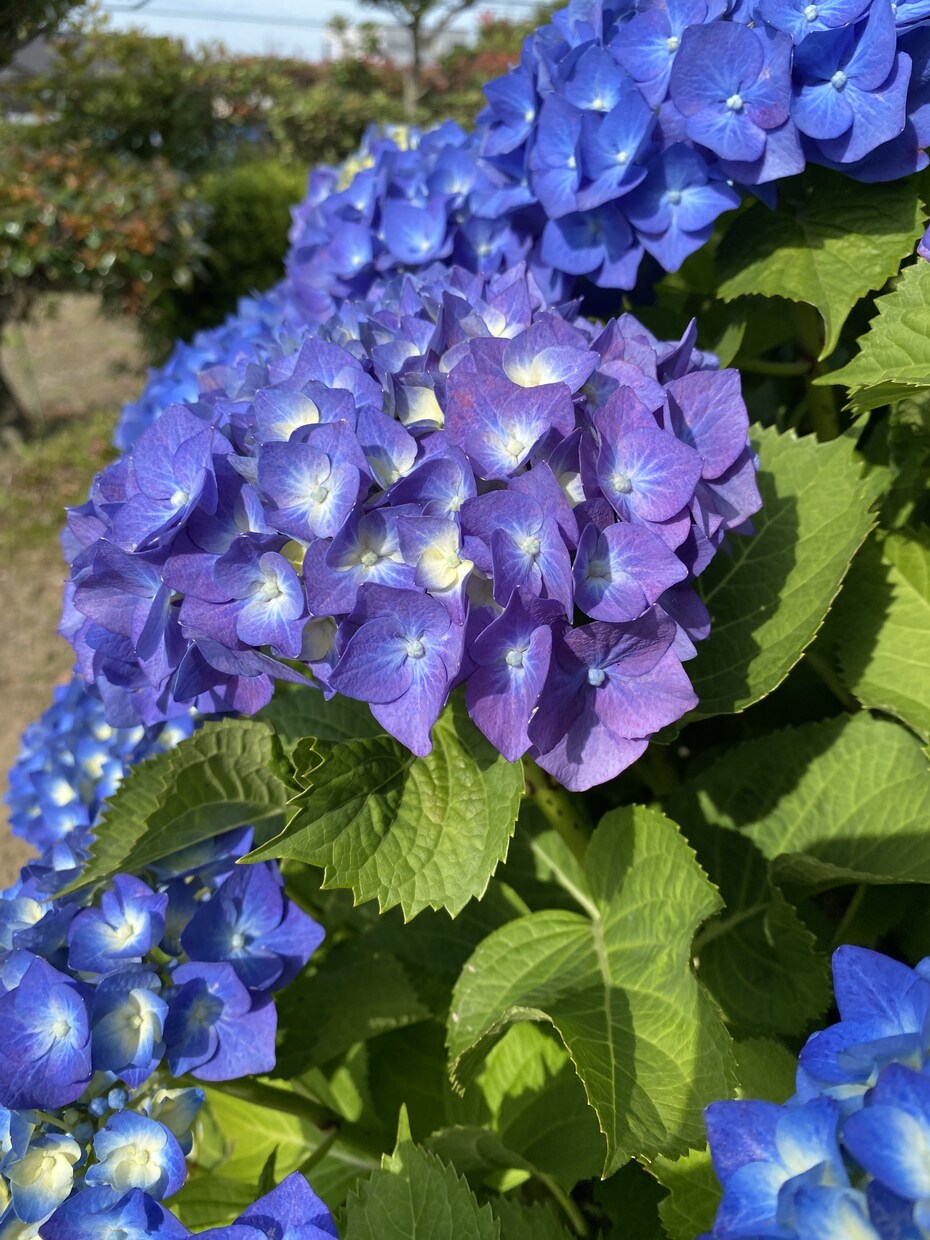 愚痴でもなんでもお話し聞きます HSPの僕があなたの心に全力で寄り添います！ イメージ4