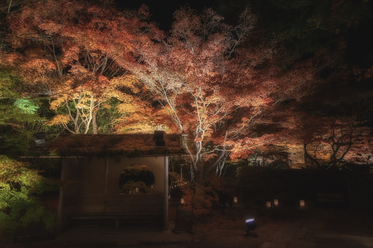 今まで撮ってきた様々な風景写真を提供致します ご要望の写真がなかった場合、新規写真の撮影代行も致します。 イメージ2
