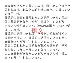 あなたを守護してくれている霊獣をお調べします ★あなたの霊獣にチャネリングし、メッセージをもらいます イメージ5