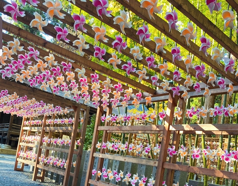 霊感タロットで占います 恋愛♡仕事♡人生♡霊感タロットで占います イメージ1