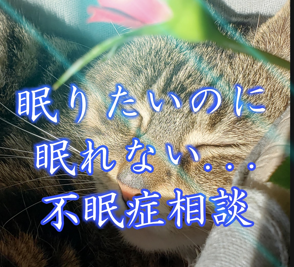 うつで寝れないとき【不眠】の具体策も伝えています 【有資格カウンセラー】優しくひとりひとりへ寄り添っております イメージ1