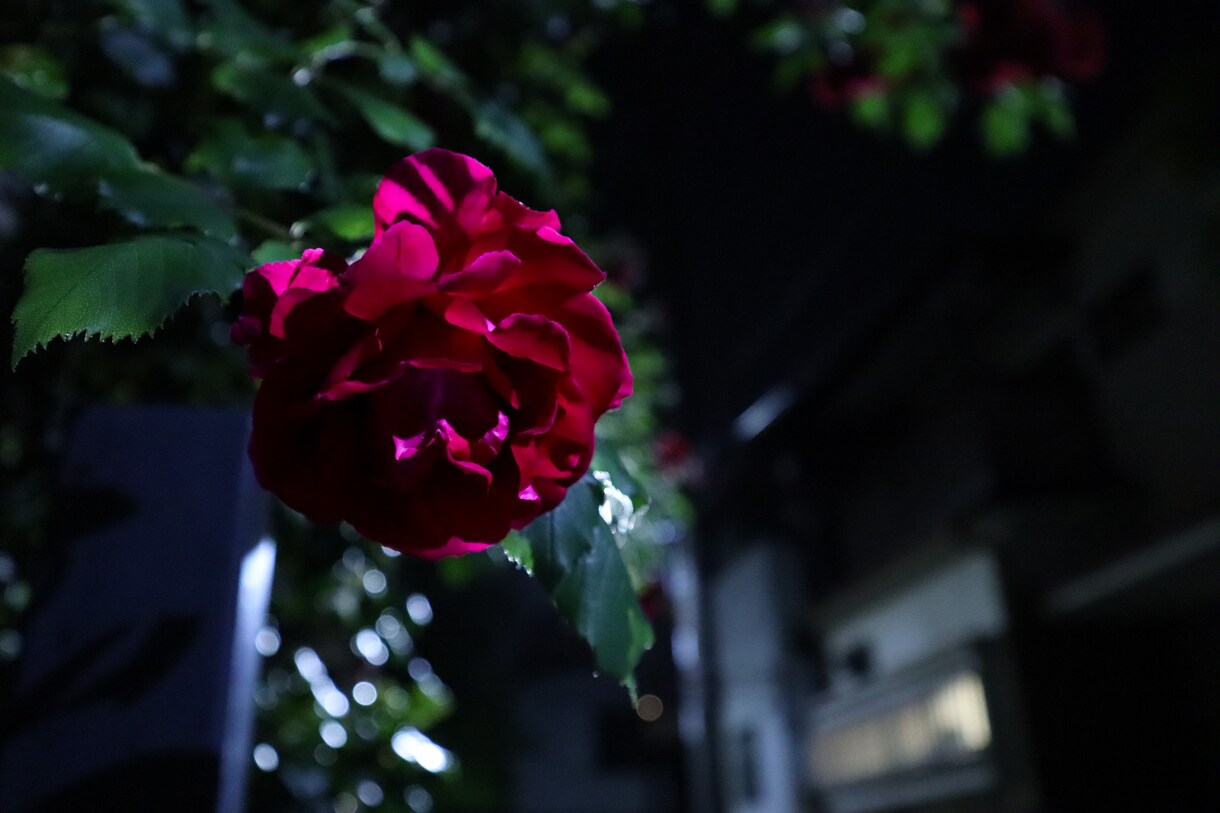 InstaなどSNSに載せる宣材写真お撮りします SNSに写真を少しでもキレイにおしゃれに載せるお手伝いします イメージ4