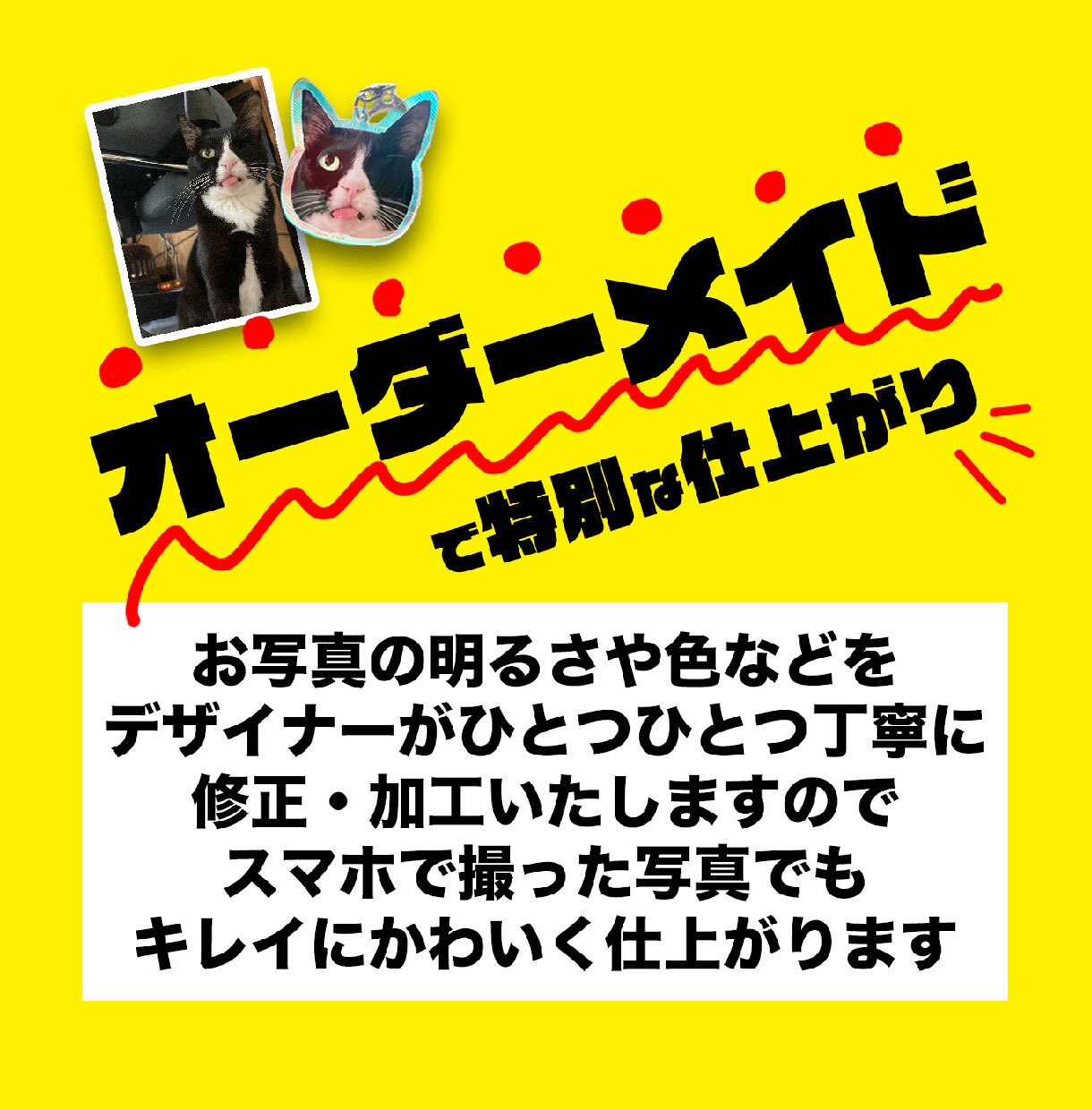 大切なペットのアクリルキーホルダー作ります 完全オーダーメイド！スマホの写真を送るだけでOK！ イメージ10