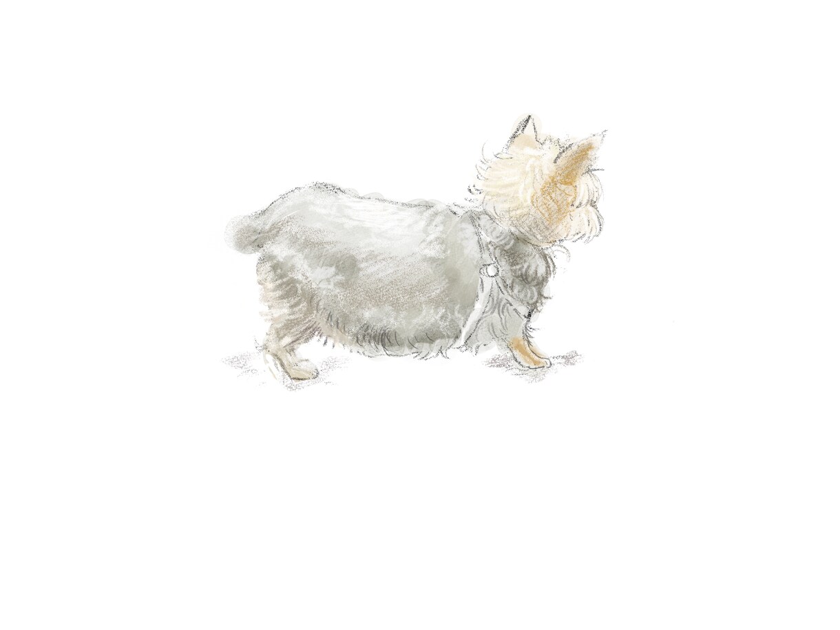 ペットの可愛い似顔絵を描きます ふわふわ感と暖かみを大切にしてます。どんな動物でも大歓迎！ イメージ2