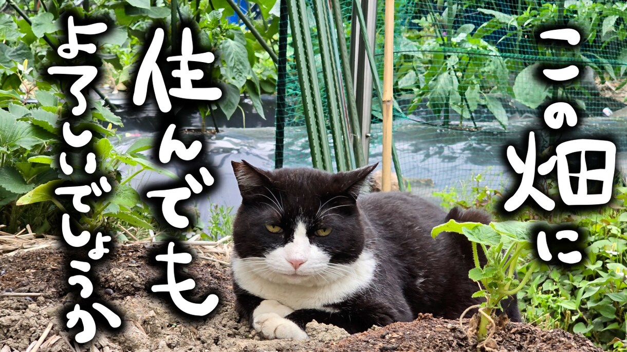 男前な手描きYouTubeサムネイル製作いたします 渋めで男前サムネから居酒屋メニュー風など！東出昌大さん風も♪ イメージ4