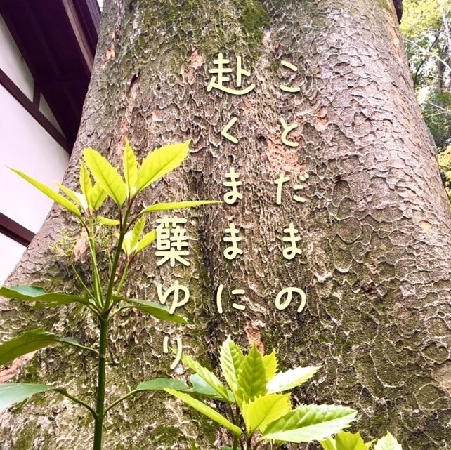あなたの発した言葉から、今を現す一句を詠みます 無意識に発した言葉はあなたの本音。前向きになれる17文字です イメージ1