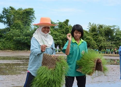 タイで起業サポートします タイで第2の人生をお考えの方へ イメージ3