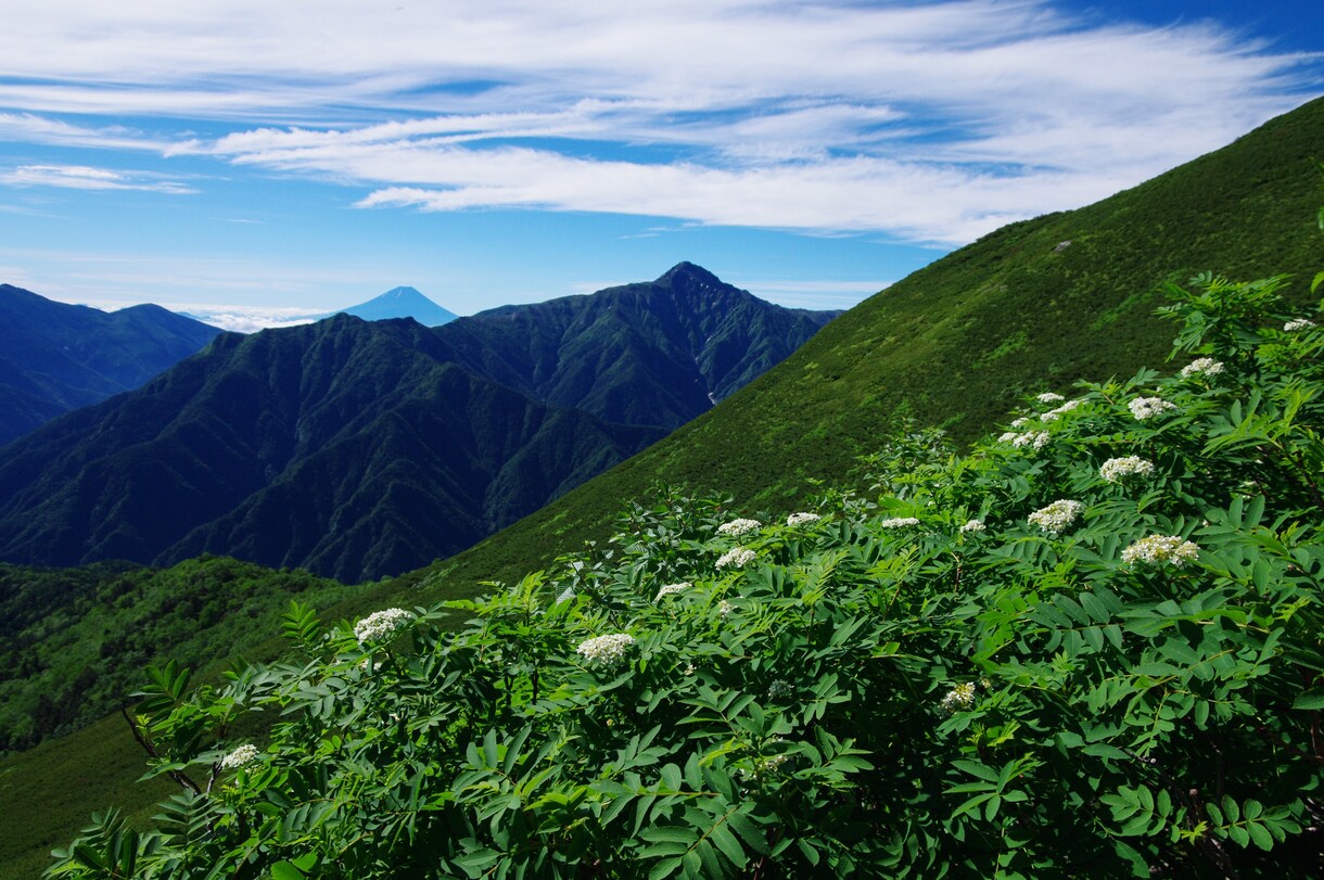 山登時のステキな写真の撮り方を教えます カメラを買ったけど撮り方がわからない方にオススメです！ イメージ2