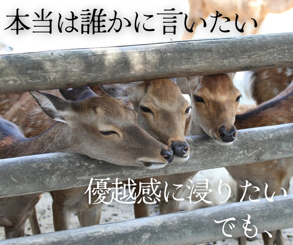 自慢話、なんでも聞きます 羨ましがられたい人、この指とまれ！ イメージ3