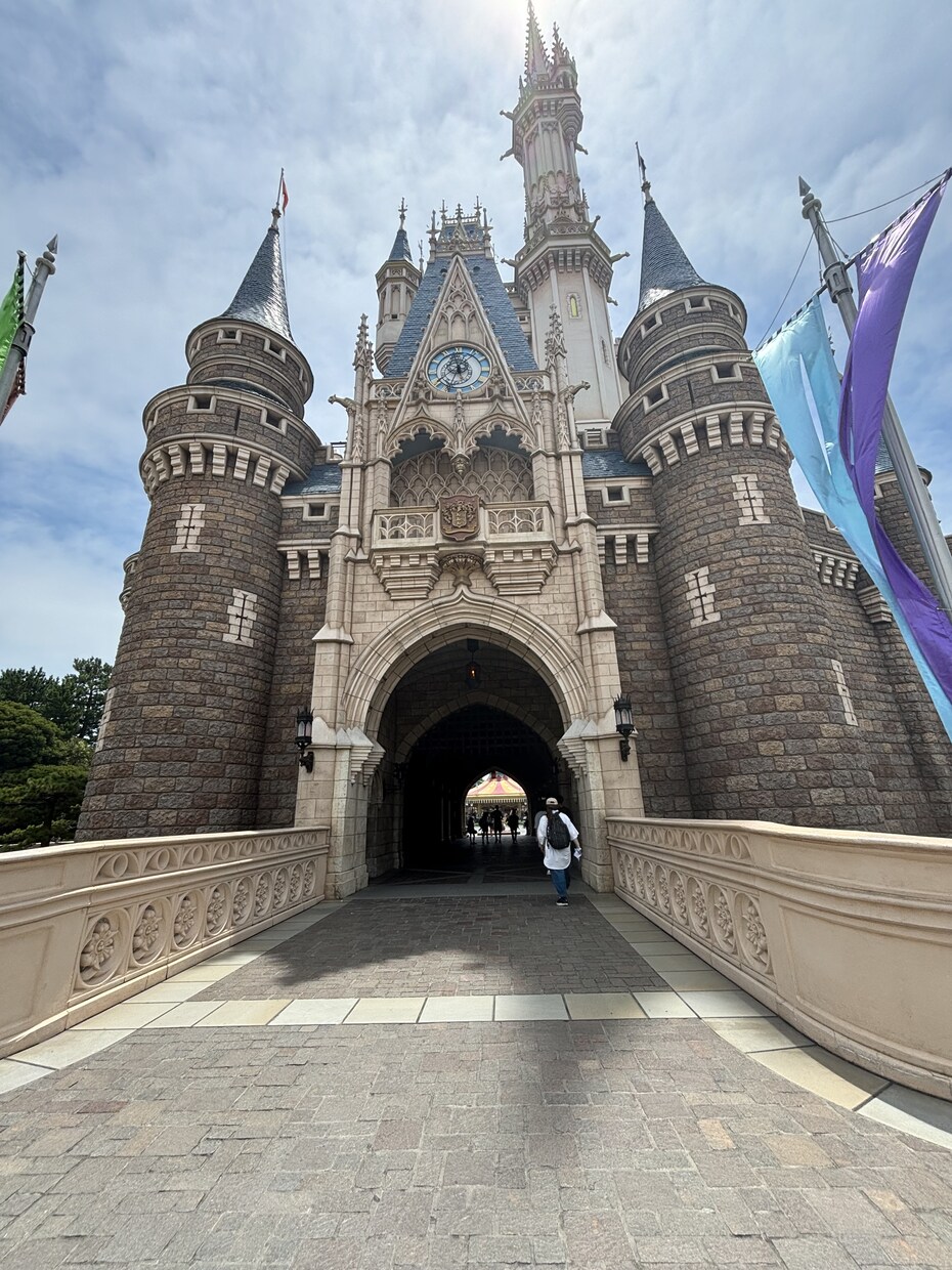 主にディズニーランド、シーの写真素材を提供致します まるで自分自身がその場に居るような一人称視点の撮影をします！ イメージ3