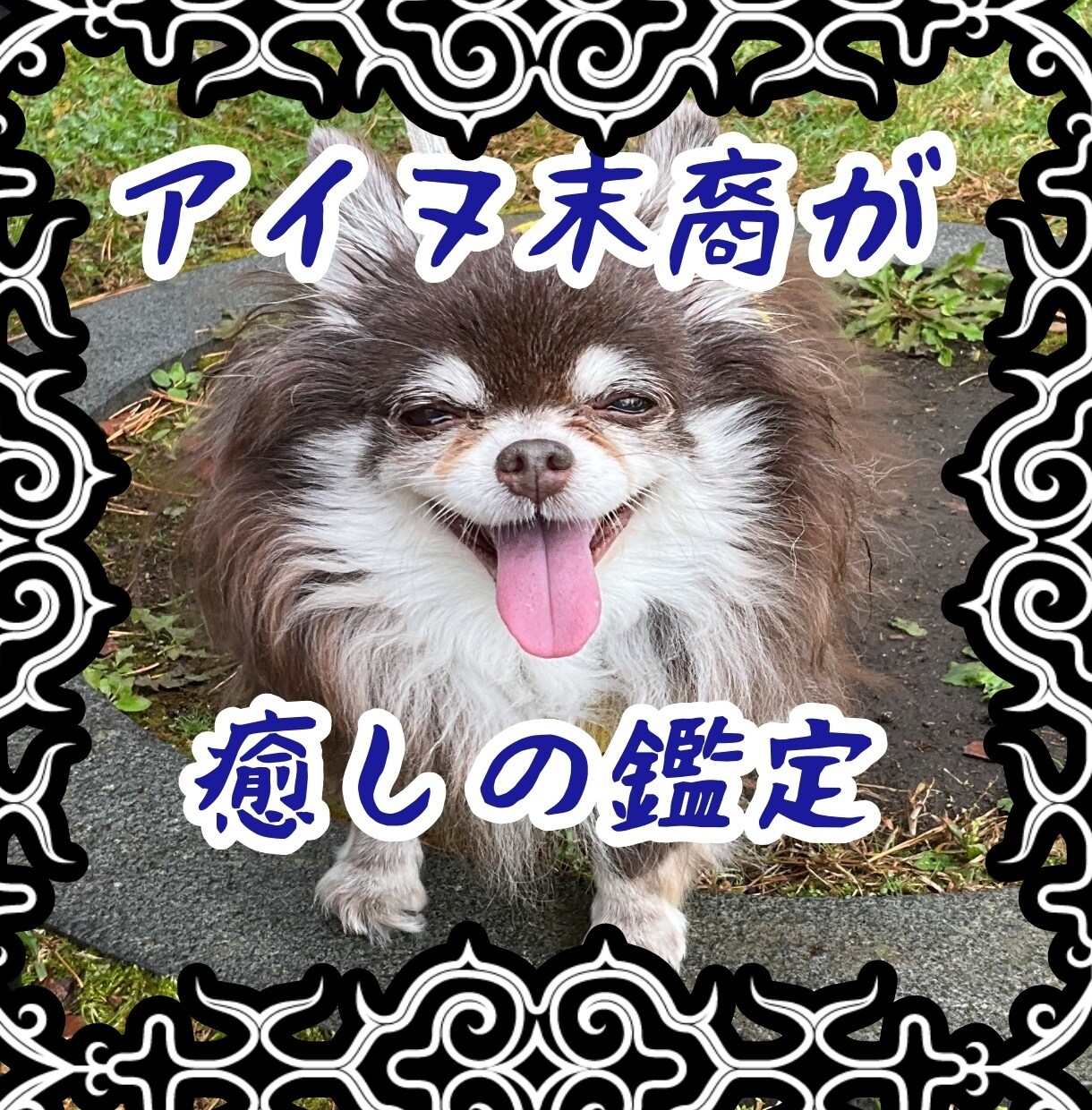 どちらを選べば幸せになれるか★二者択一★占います ★訳アリ相談も!アイヌの末裔がタロット＆アイヌ語カードで鑑定 イメージ2