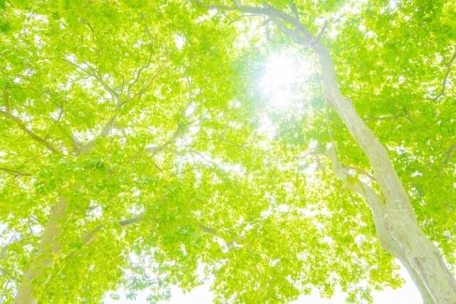 初回限定☆愛の循環ヒーリングお試しプラン行います セルフラブ～あなたがあなたを抱きしめる時間を作りませんか？～ イメージ6