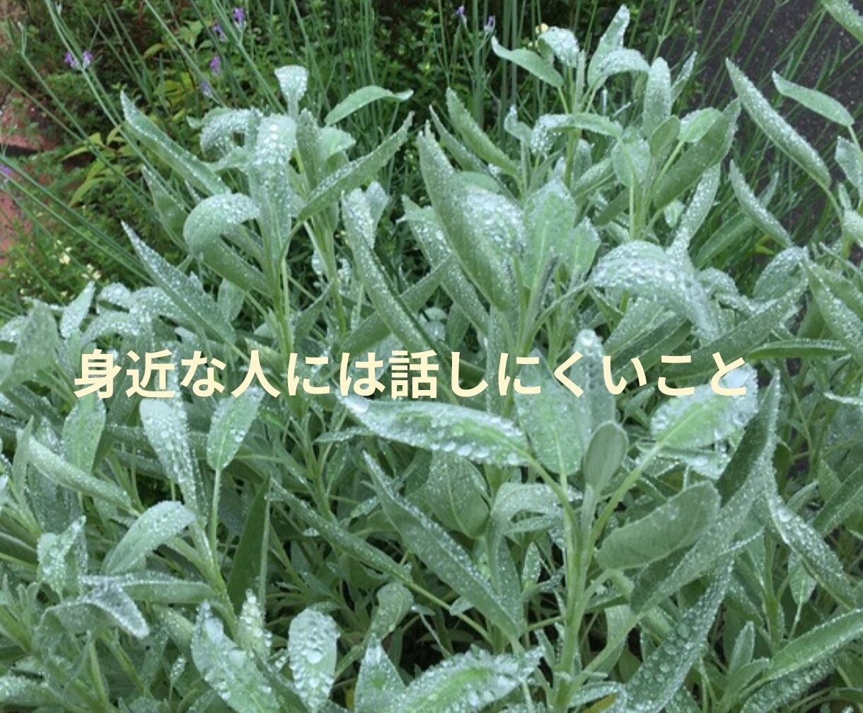 ゆるっと雑談・気分転換に寄り添います あなたの「話したい」気持ちを優しくサポートします イメージ3