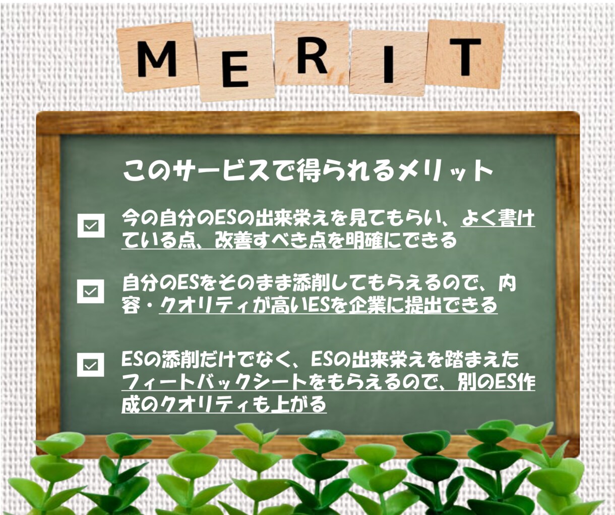 大学職員）キャリアコンサルタントがESを添削します 【お悩み解決】元大学職員・有資格によるプロの新卒就活サポート イメージ3