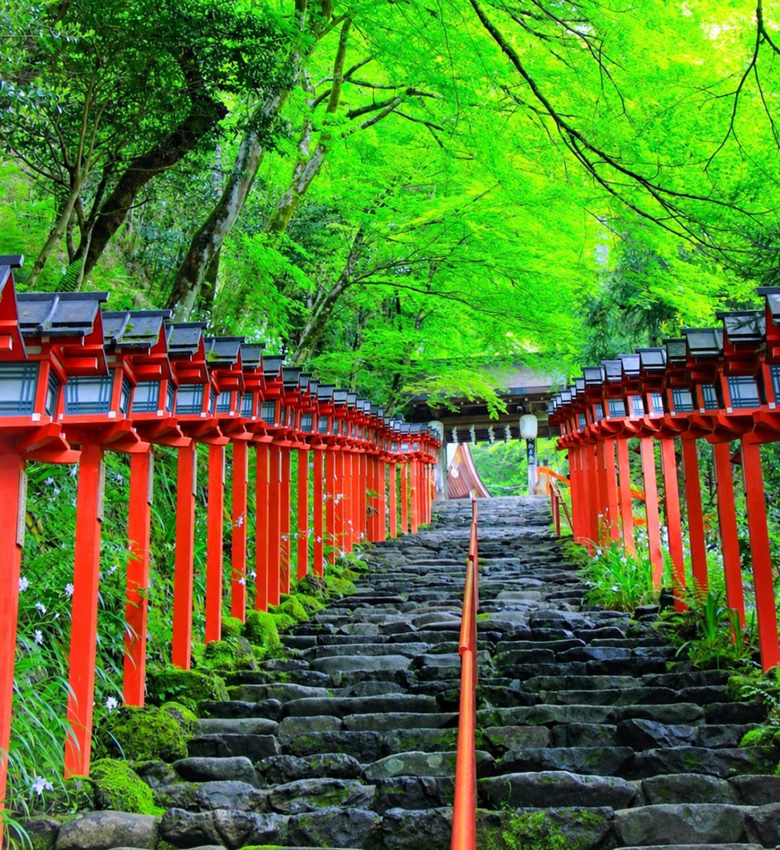 京都のお墓参りとお墓掃除を真心込めて代行しますます 写真報告付きで遠方の方も安心！京都市内どこでも即対応します イメージ2