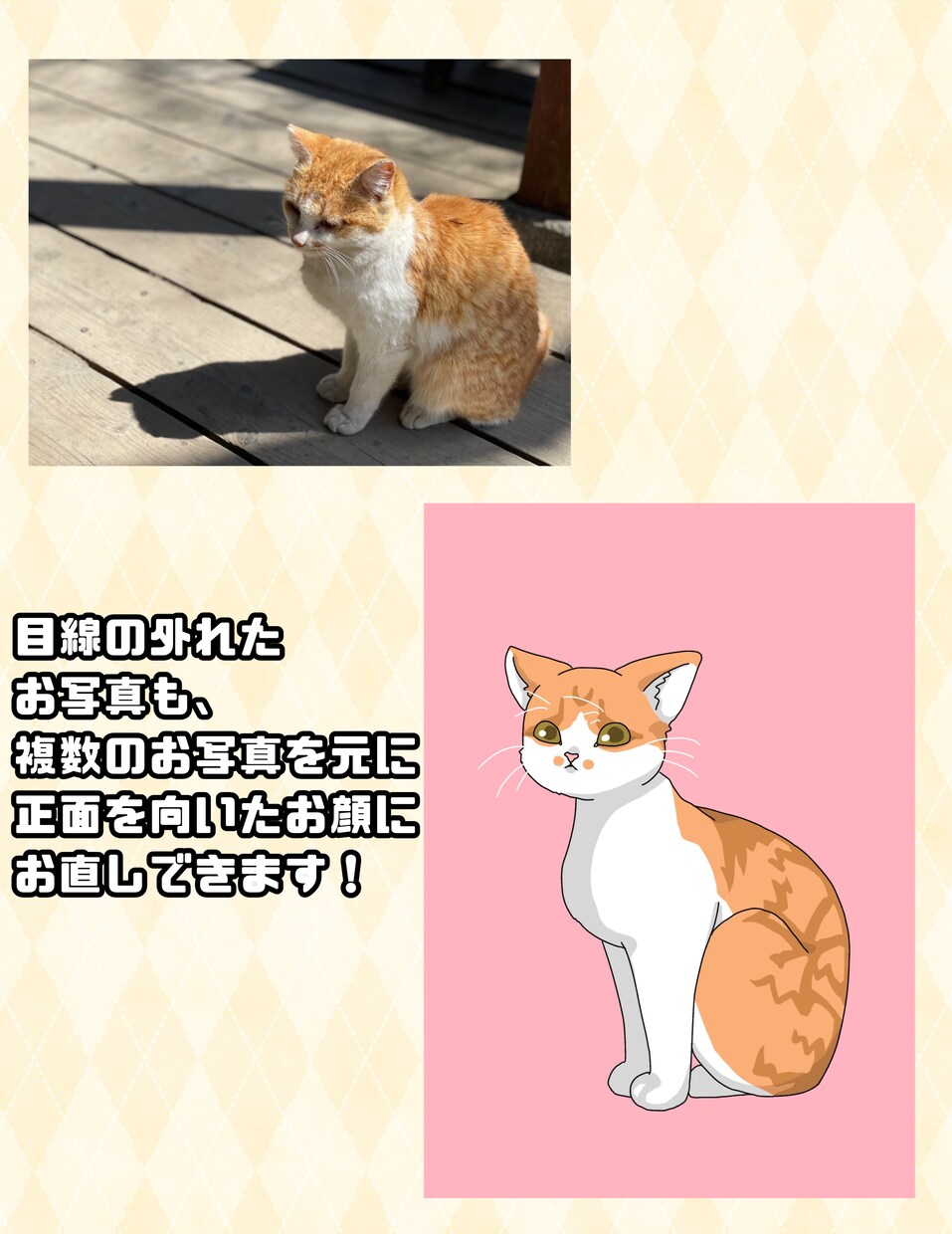可愛いペットのイラスト制作します お写真から、世界で一つの可愛いイラストを作成します！ イメージ3