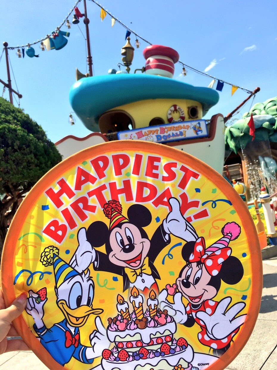 TDR･TDSでの特別な遊び方プランを作成します  イメージ1