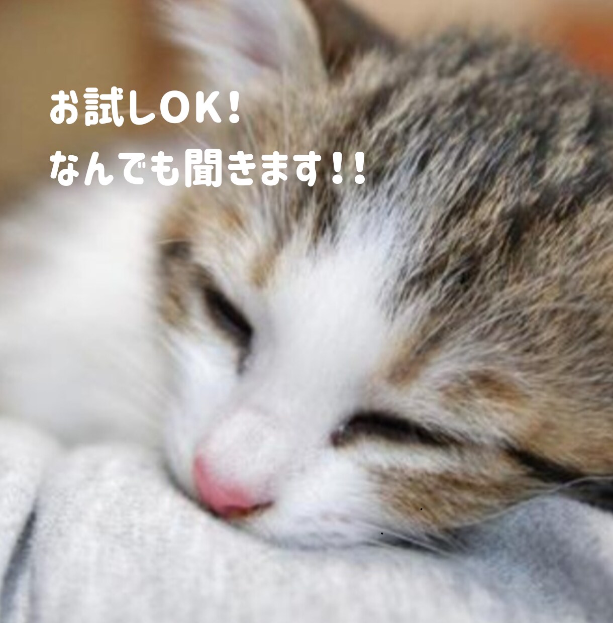 専門学生があなたの話なんでも聞きます 老若男女大歓迎☆あなたに寄り添って癒します(*ˊ˘ˋ*)｡♪ イメージ1