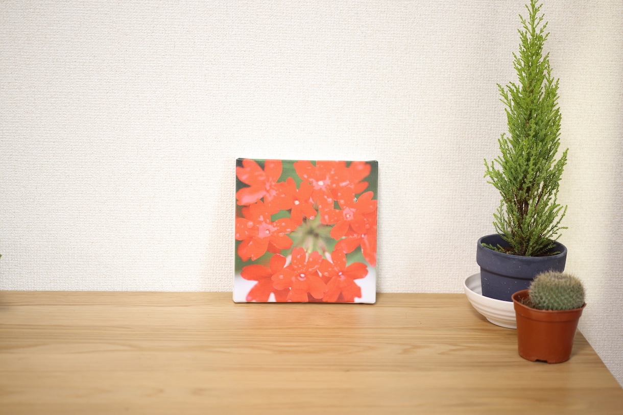 お花の写真+遠隔ヒーリングを送ります 写真販売と遠隔ヒーリングを4回送ります イメージ3