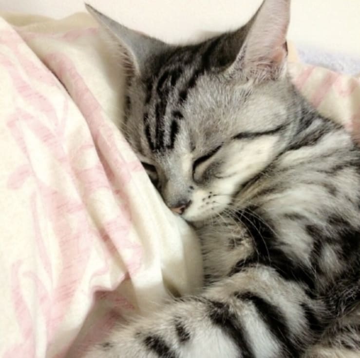 あなたのことを褒め、認め、讃えます どんな人でも素晴らしい！あなたの良さに気付くきっかけに。 イメージ1