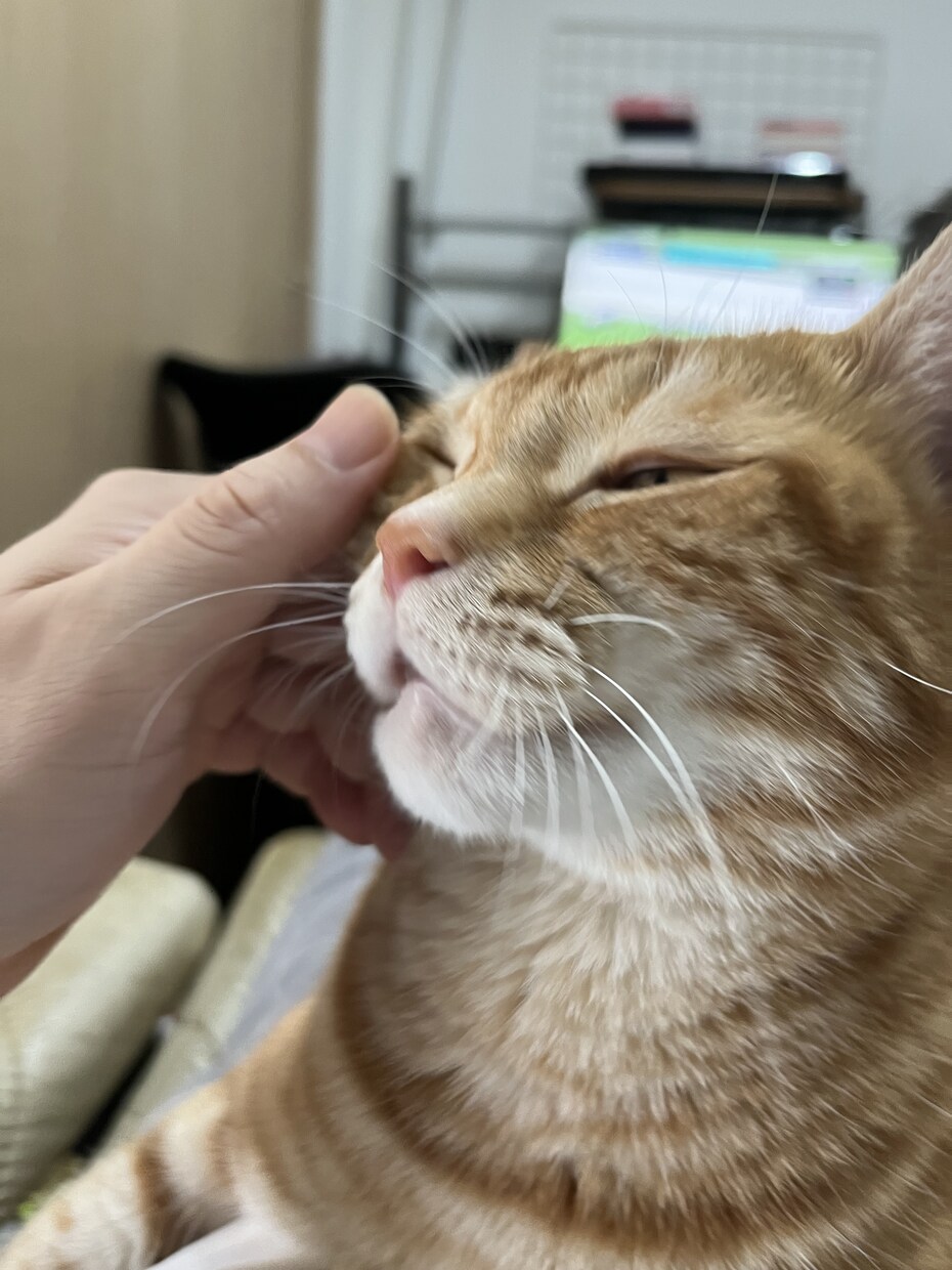 年は取ってみるもんだな。その心境をお伝えします 死にたいを含めて50年近くどうにかやってきてたどり着いた境地 イメージ1