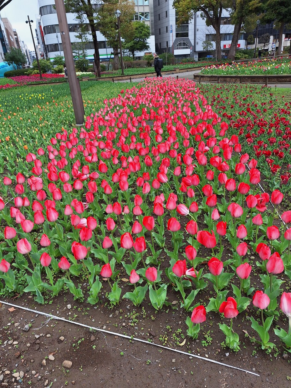 あなたの心の声を聞くお手伝いします お話をすることで何かが少しずつ変わります。 イメージ1