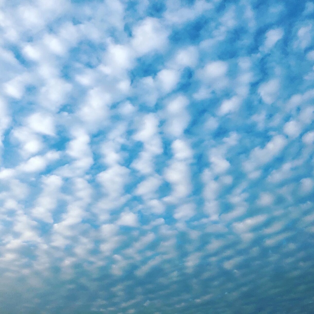 ぽっかり空いたあなたの心の穴を埋めます 子育てがひと段落した途端、ふっと寂しさを感じてしまったママへ イメージ5