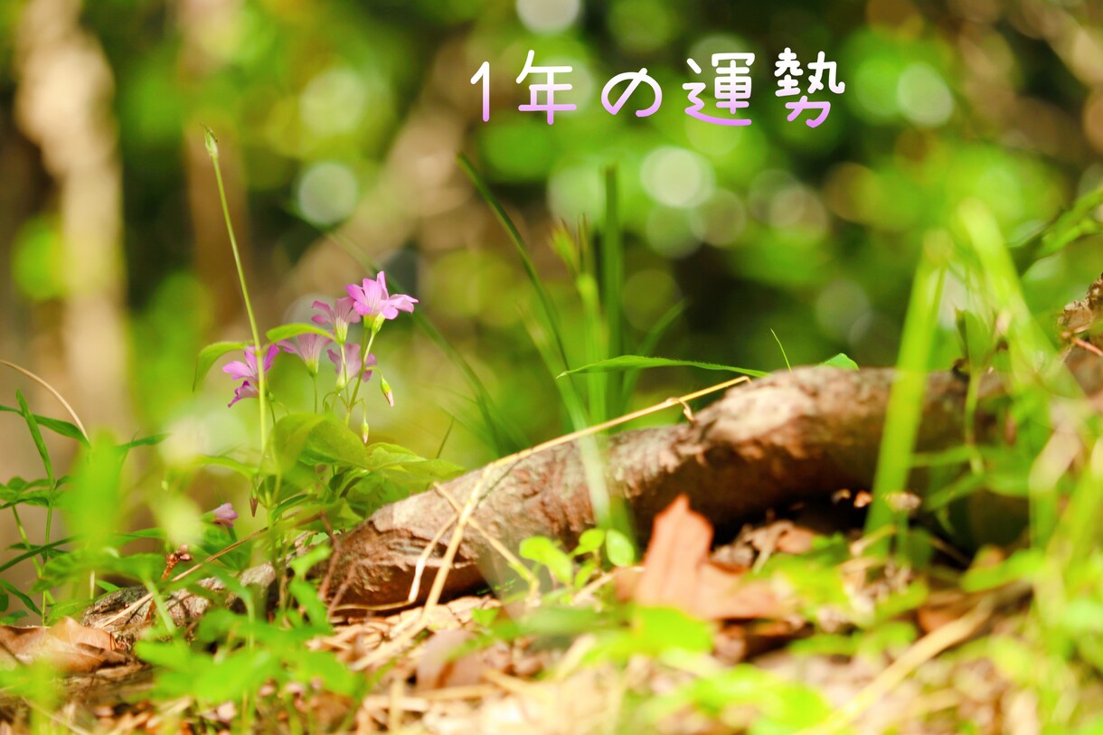 1年の運勢占います これから1年間の運勢を見ていきます！ イメージ1