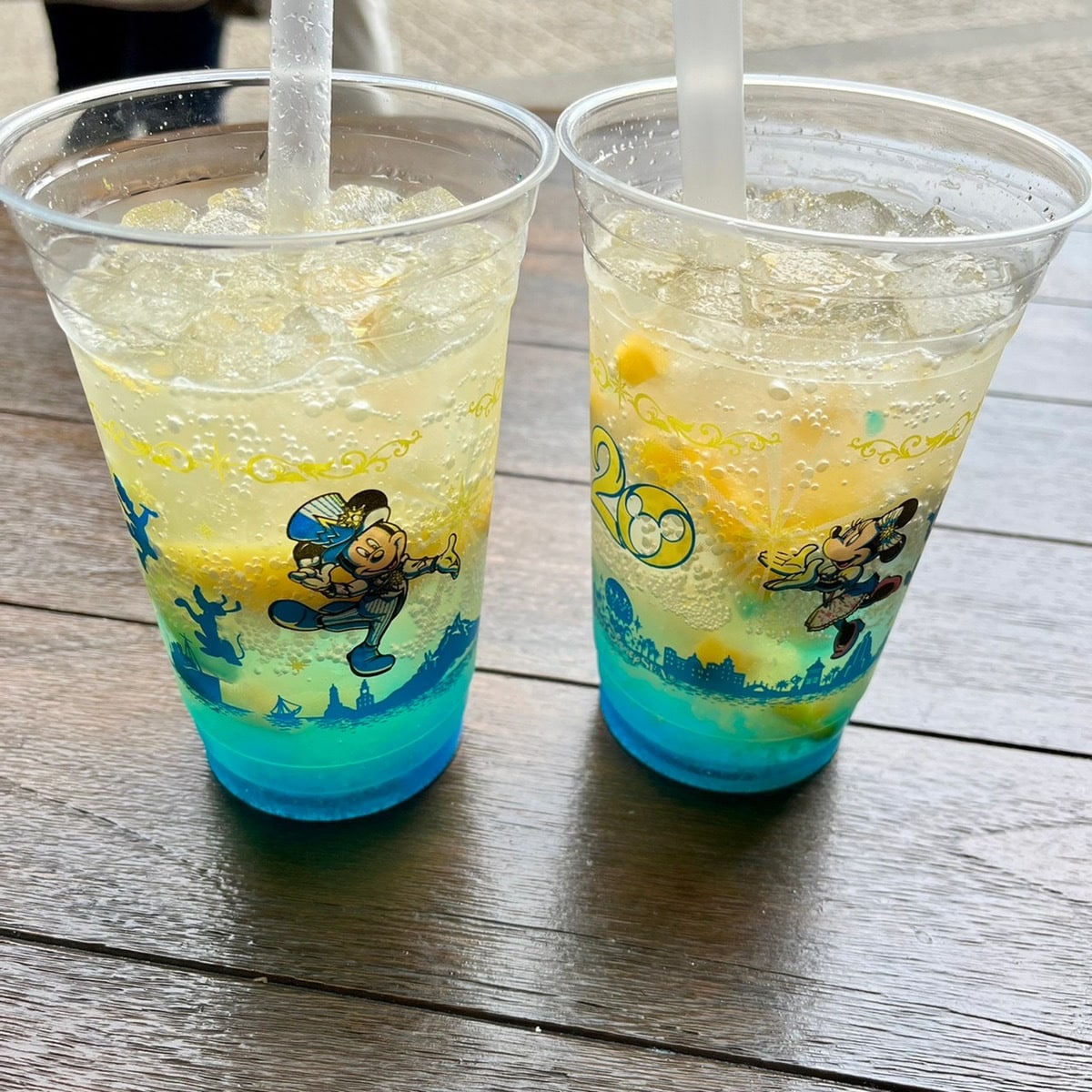 ディズニーランド・シー内レストランの質問に答えます レストラン特化！ファストフード～コース料理のお店まで対応 イメージ3