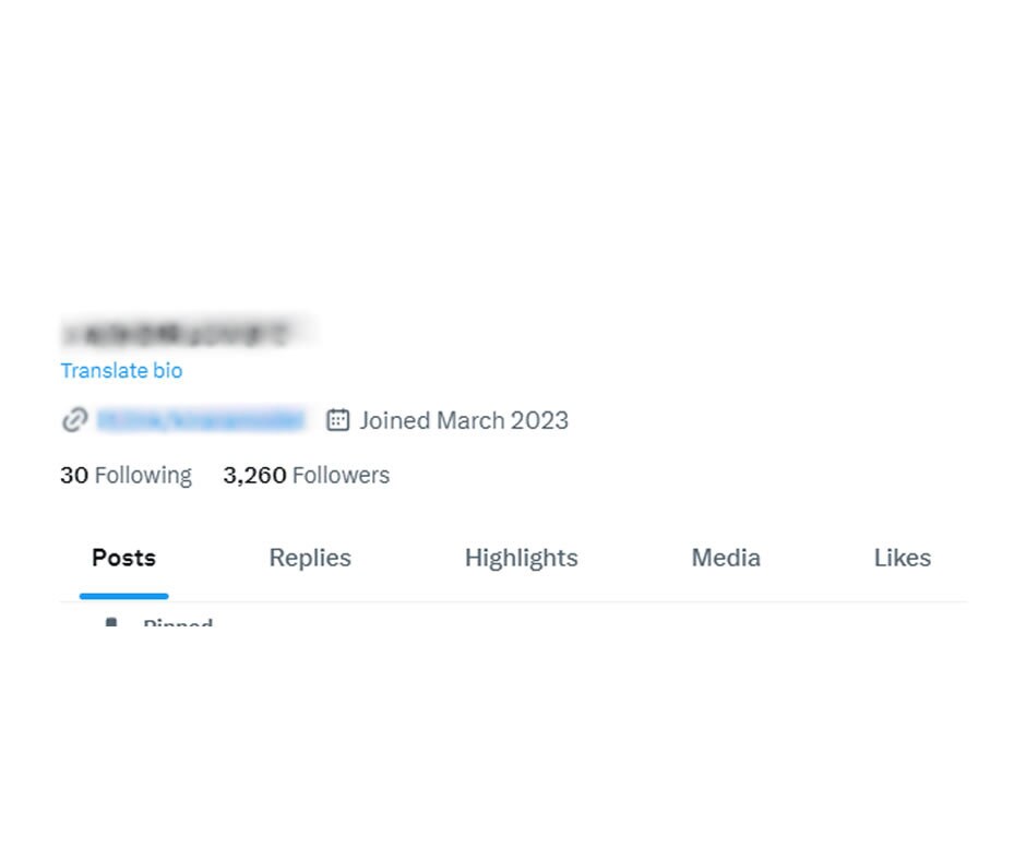 SNSの自動運用でマネタイズする方法を教えます Xで半自動的に稼ぐ方法を1から10までのフローをサポート イメージ2