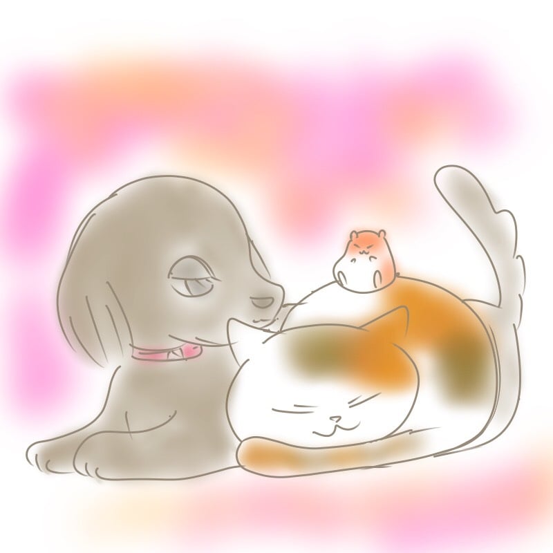 あなたのペットをキャラクター風のイラストにします 可愛い家族のイラスト★水彩画風にもできます★ イメージ5