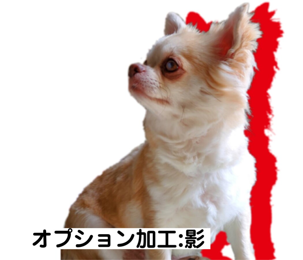 業界最安！LINEスタンプお作りします ペットやお子さんの写真で可愛いスタンプを作りませんか？ イメージ8