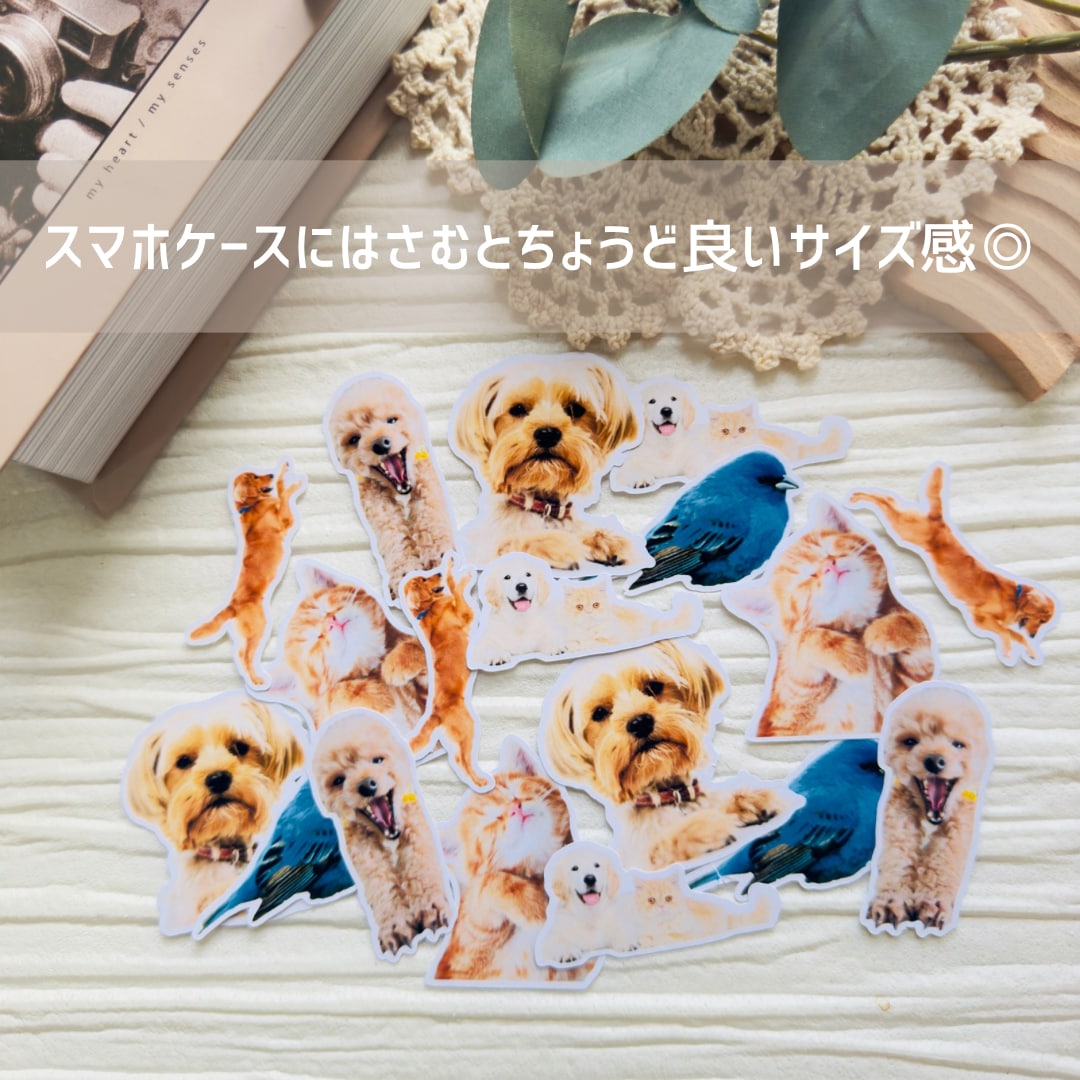 世界に一つだけ！オリジナルフレークシール作ります お写真を送るだけ！大切なご家族がシールになっていつも側に。 イメージ3