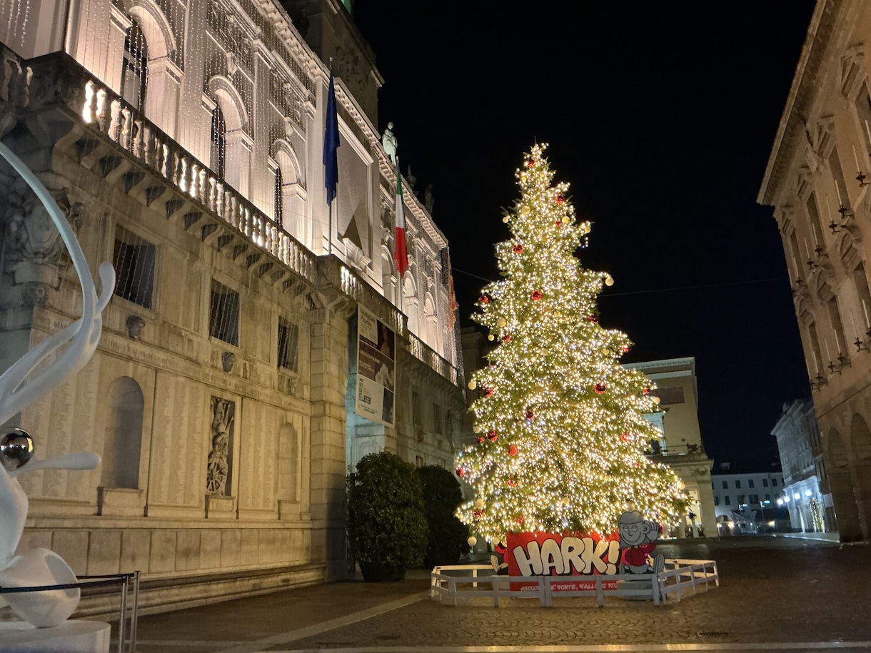 現役生が答えます！イタリア進学・留学相談に乗ります イタリア留学の疑問や不安をパドヴァ在住の現役生が解決します！ イメージ5