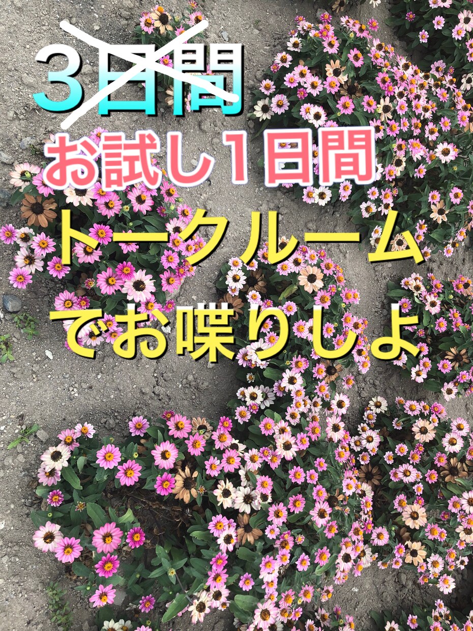 空いた時間にメッセージ送ります お返事くれたら、お返事返すよ(*≧∀≦*) イメージ1