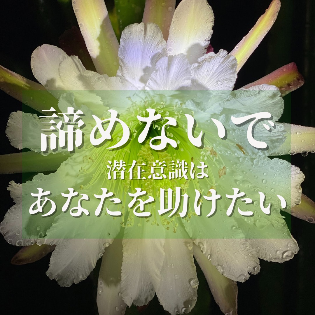 潜在意識に深く入るヨガ＆ヒプノセラピーで解決します 心身バランス整え相乗効果！直感☆集中力＆洞察力UP《４時間》 イメージ1