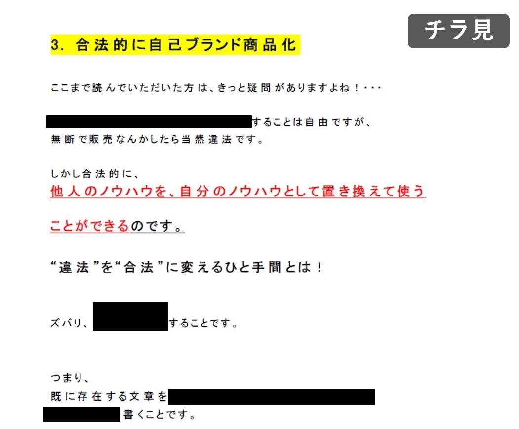 Web情報起業★優良級ノウハウ無料取り放題教えます 誰でも商品を作れる極意！女性でも副業在宅で安全に取り組めます イメージ8