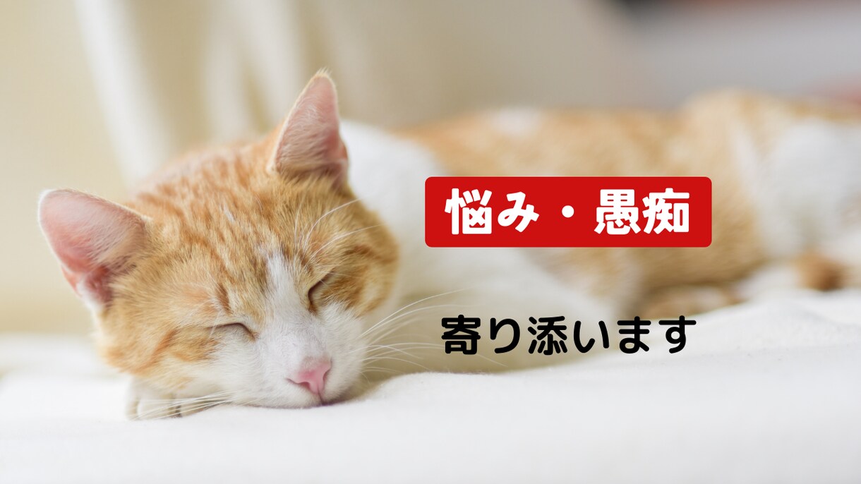 心の休息取りませんか？☘️薬剤師がお話お聴きします あなたの心を軽くするお手伝いを致します✨悩み・愚痴・話し相手 イメージ3