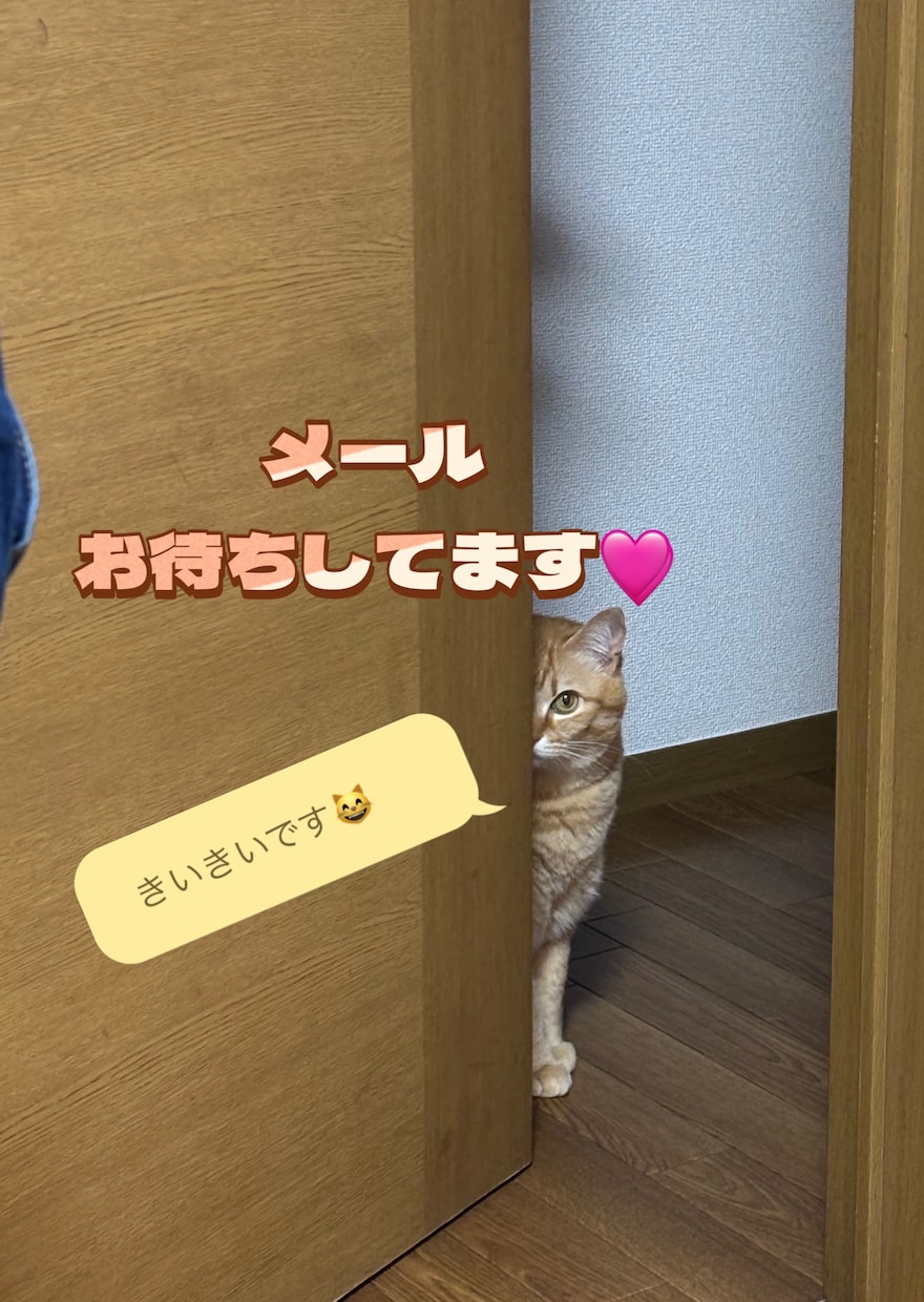 電話は恥ずかしい☆そんなあなたの味方になります 波瀾万丈な人生だよね☆と周りに言われる私が何でも聞きます イメージ1