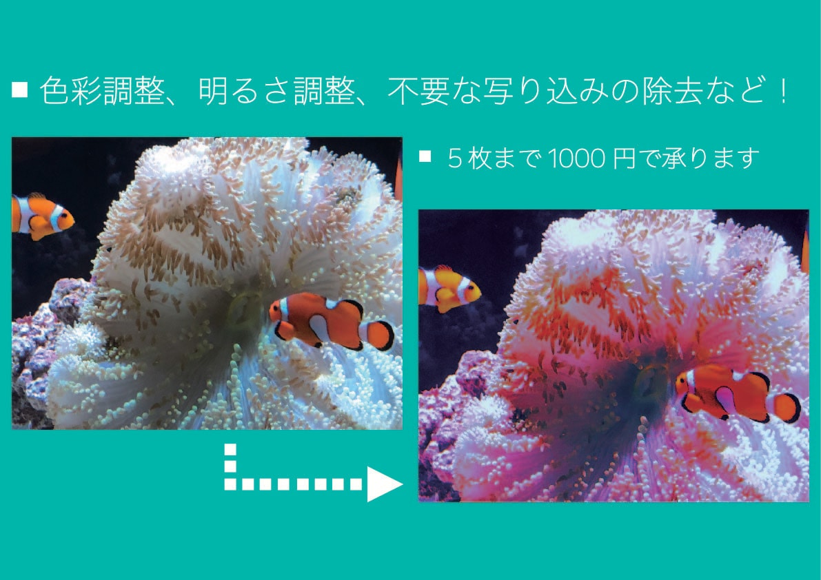 写真の気になるところを修正します 思い出をより色鮮やかに！理想的に！ イメージ1